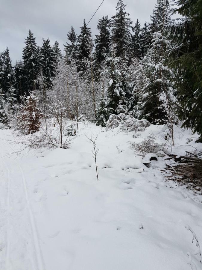 Rosalie - Lake - Hiking&Swimming - Cozy&Nature Winterberg Kültér fotó